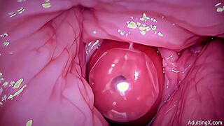 toys camera inside in vagina creampie
